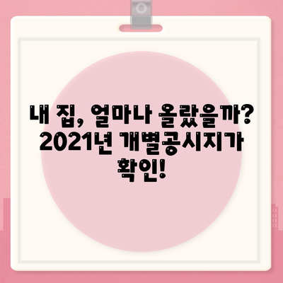 2021년 개별공시지가 조회