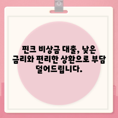 핀크 비상금 대출