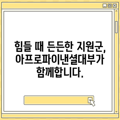 아프로파이낸셜대부