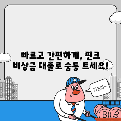 핀크 비상금 대출