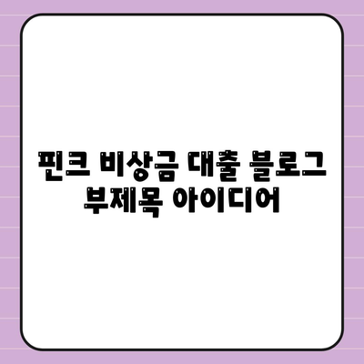 핀크 비상금 대출