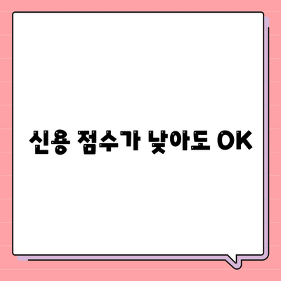 신용 점수가 낮아도 OK