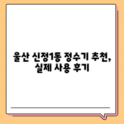 울산시 남구 신정1동 정수기 렌탈 | 가격비교 | 필터 | 순위 | 냉온수 | 렌트 | 추천 | 직수 | 얼음 | 2024후기