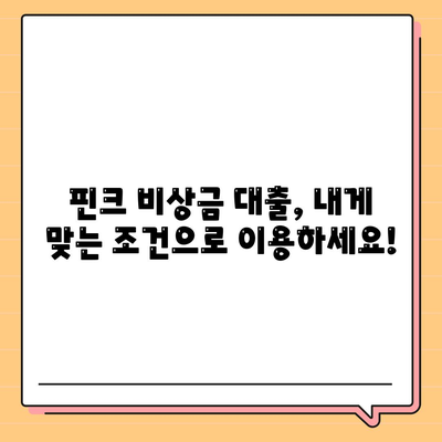 핀크 비상금 대출