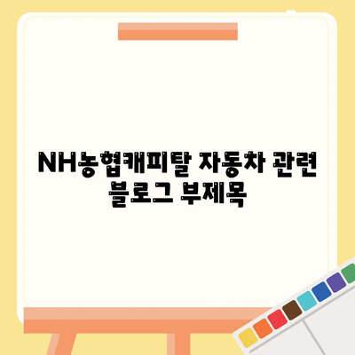 NH농협캐피탈 자동차