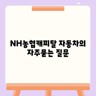 NH농협캐피탈 자동차