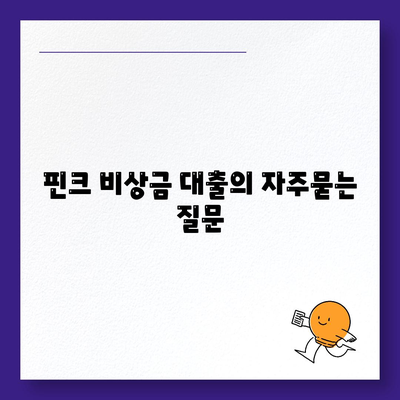 핀크 비상금 대출