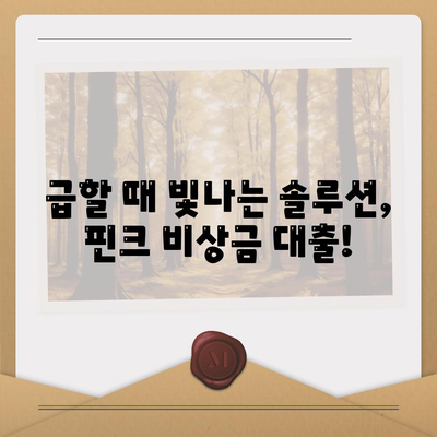 핀크 비상금 대출