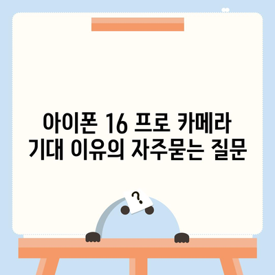 아이폰 16 프로 카메라 기대 이유