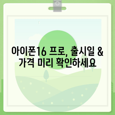 광주시 동구 충장동 아이폰16 프로 사전예약 | 출시일 | 가격 | PRO | SE1 | 디자인 | 프로맥스 | 색상 | 미니 | 개통