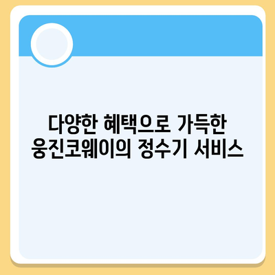 웅진코웨이 얼음정수기 렌탈의 풍부한 혜택, 물맛도 함께 즐기세요!