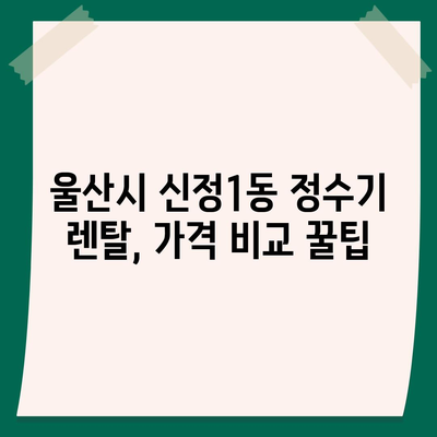 울산시 남구 신정1동 정수기 렌탈 | 가격비교 | 필터 | 순위 | 냉온수 | 렌트 | 추천 | 직수 | 얼음 | 2024후기