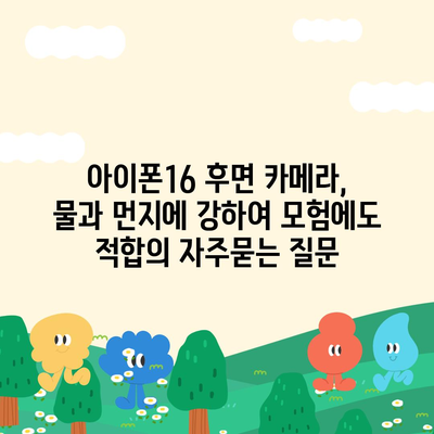 아이폰16 후면 카메라, 물과 먼지에 강하여 모험에도 적합