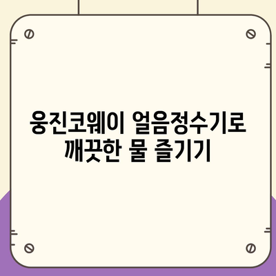 웅진코웨이 얼음정수기 렌탈로 누린 풍부한 혜택 공유