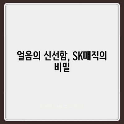 SK매직 얼음정수기 렌탈 | 똑똑한 이전 후기