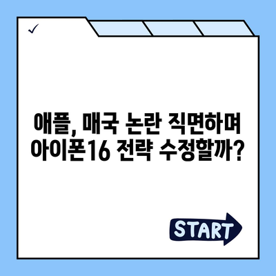 아이폰 매국 논란에 아이폰16 우려