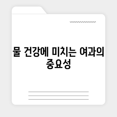 정수기 여과의 마법 | 물 건강의 열쇠 파악하기