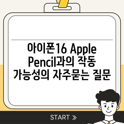 아이폰16 Apple Pencil과의 작동 가능성