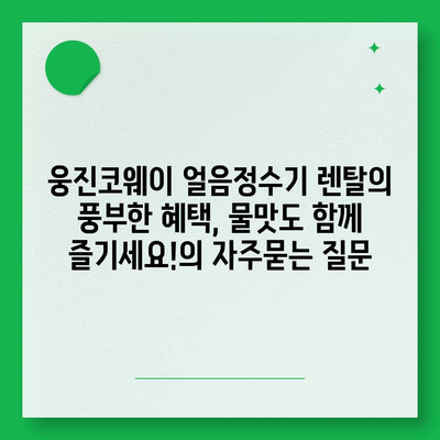 웅진코웨이 얼음정수기 렌탈의 풍부한 혜택, 물맛도 함께 즐기세요!