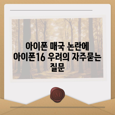 아이폰 매국 논란에 아이폰16 우려