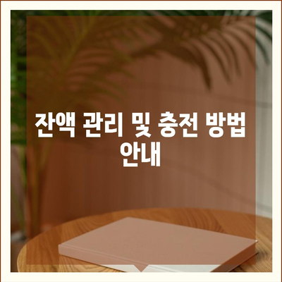 카카오페이 K패스 교통카드 발급 및 사용법