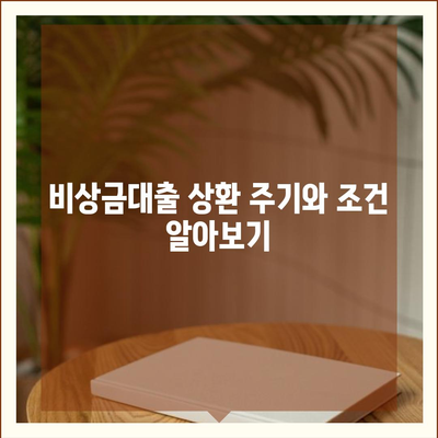 카카오뱅크 비상금대출 상환