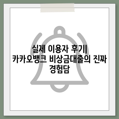 카카오뱅크 pc버전 비상금대출 pc버전 애자