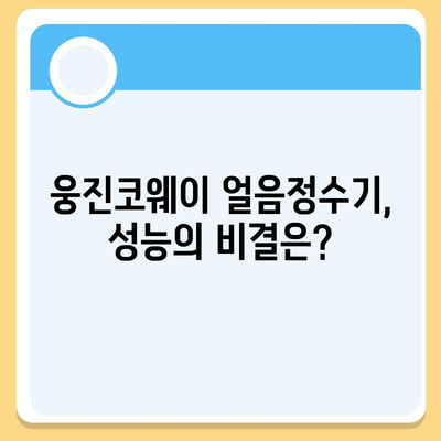 웅진코웨이 얼음정수기렌탈 | 후기에서 확인한 탁월한 성능