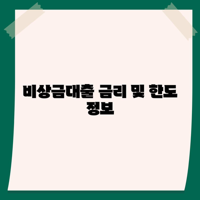 카카오뱅크 pc버전 비상금대출조건