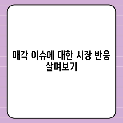 카카오골프 퀀텀 불거지는 매각 이슈와 대응