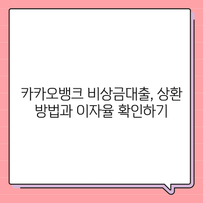 카카오뱅크 pc버전 비상금대출 pc버전 연장