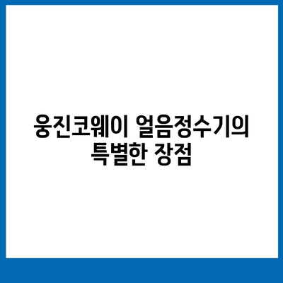 웅진코웨이 얼음정수기, 추천 덕분에 렌탈 성공 후기