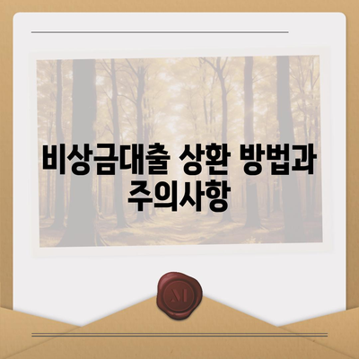 카카오뱅크 pc버전 비상금대출