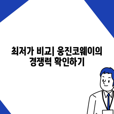 웅진코웨이 얼음정수기렌탈 | 후기에서 확인한 탁월한 성능