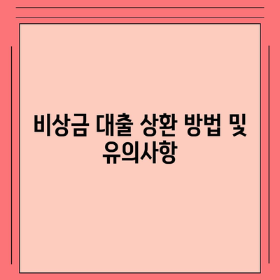 카카오뱅크 비상금 대출 신청법 전수