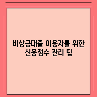 카카오뱅크 pc버전 비상금대출 pc버전 신용점수