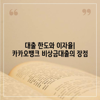 카카오뱅크 비상금대출