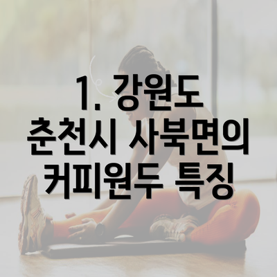 1. 강원도 춘천시 사북면의 커피원두 특징