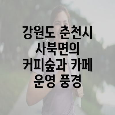 강원도 춘천시 사북면의 커피숲과 카페 운영 풍경