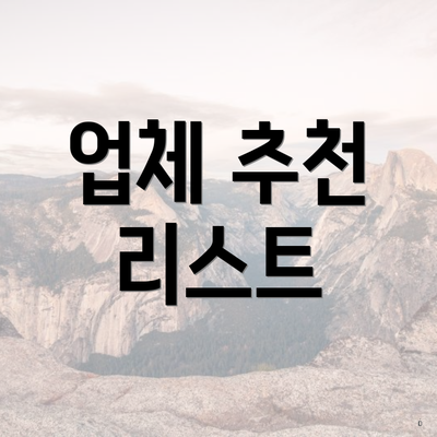 업체 추천 리스트