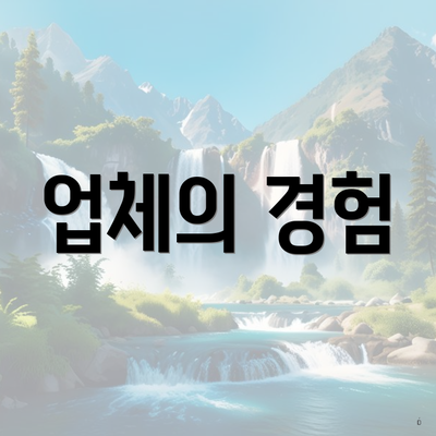 업체의 경험