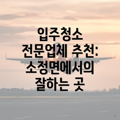 입주청소 전문업체 추천: 소정면에서의 잘하는 곳