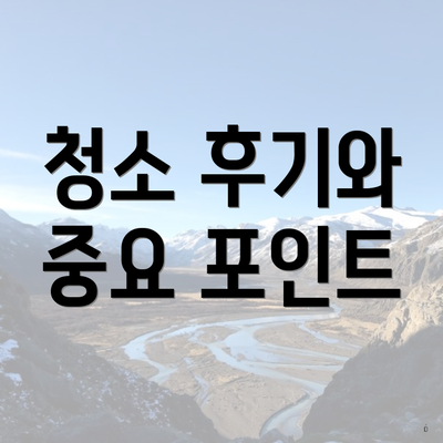 청소 후기와 중요 포인트