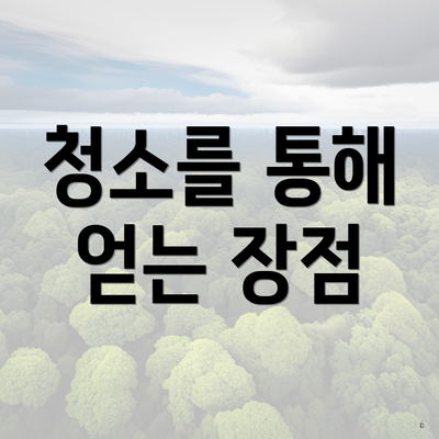 청소를 통해 얻는 장점