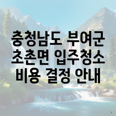 충청남도 부여군 초촌면 입주청소 비용 결정 안내