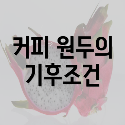 커피 원두의 기후조건