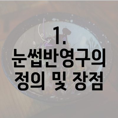 1. 눈썹반영구의 정의 및 장점