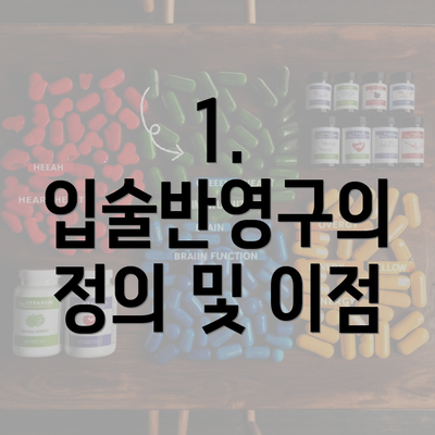 1. 입술반영구의 정의 및 이점