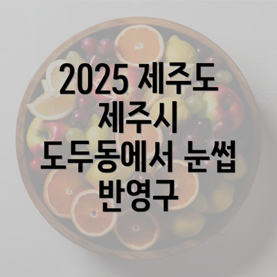 2025 제주도 제주시 도두동에서 눈썹 반영구