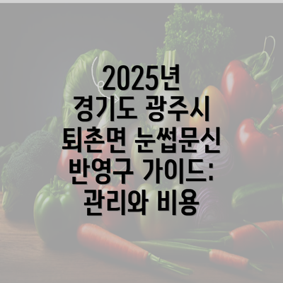 2025년 경기도 광주시 퇴촌면 눈썹문신 반영구 가이드: 관리와 비용